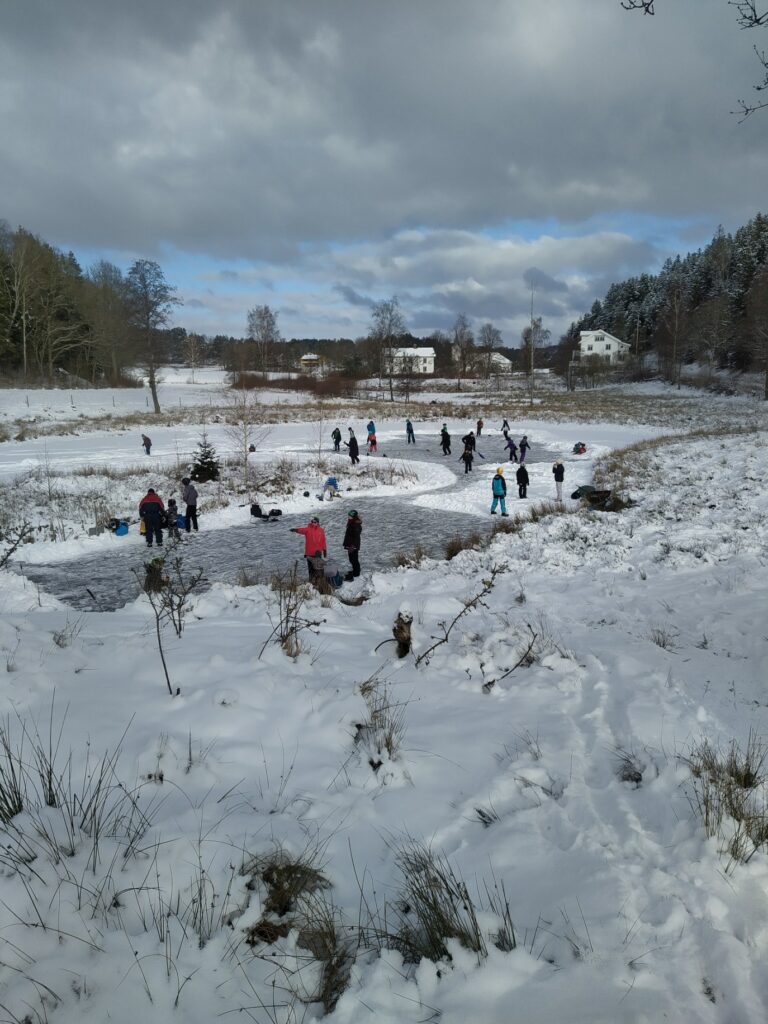 Skridskor vid Klosterdammen 2021. Glädjande att se så många spontanåka på den fina isen.